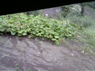 長野県菅平高原 ゆたか山荘 駐車場 2025/09/08 08:00