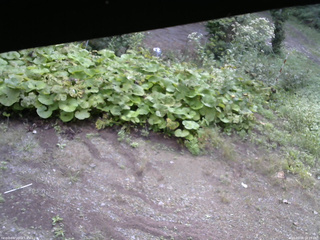 長野県菅平高原 ゆたか山荘 駐車場 2025/09/08 08:15