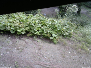 長野県菅平高原 ゆたか山荘 駐車場 2025/09/08 08:45