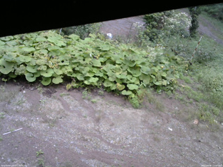 長野県菅平高原 ゆたか山荘 駐車場 2025/09/08 13:00