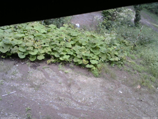 長野県菅平高原 ゆたか山荘 駐車場 2025/09/08 13:15