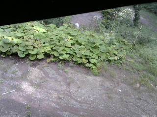 長野県菅平高原 ゆたか山荘 駐車場 2025/09/08 14:00