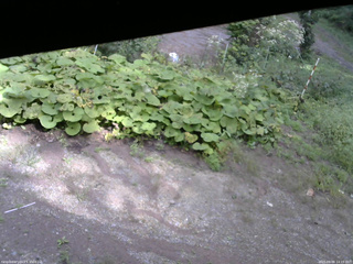 長野県菅平高原 ゆたか山荘 駐車場 2025/09/08 14:15