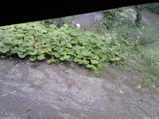 長野県菅平高原 ゆたか山荘 駐車場 2025/09/08 14:30