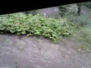 長野県菅平高原 ゆたか山荘 駐車場 2025/09/08 15:30
