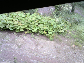 長野県菅平高原 ゆたか山荘 駐車場 2025/09/08 15:45