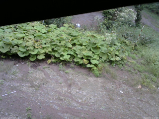 長野県菅平高原 ゆたか山荘 駐車場 2025/09/08 16:45