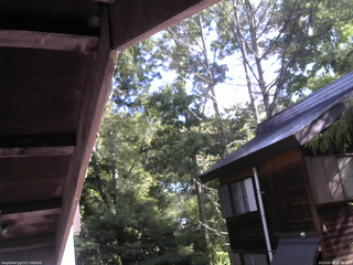 長野県菅平高原 ゆたか山荘 北側 2025/09/09 08:45