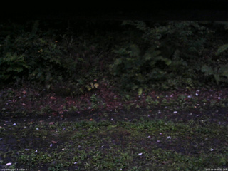 長野県菅平高原 ゆたか山荘 南側 2025/09/09 05:15
