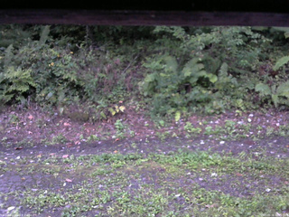 長野県菅平高原 ゆたか山荘 南側 2025/09/09 05:45