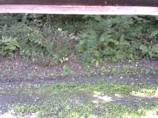 長野県菅平高原 ゆたか山荘 南側 2025/09/09 08:15