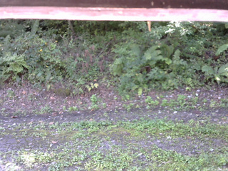 長野県菅平高原 ゆたか山荘 南側 2025/09/09 08:45