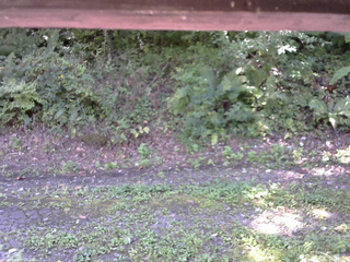 長野県菅平高原 ゆたか山荘 南側 2025/09/09 10:30