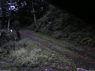 長野県菅平高原 ゆたか山荘 東側(坂下) 2025/09/09 05:15