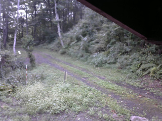 長野県菅平高原 ゆたか山荘 東側(坂下) 2025/09/09 06:15