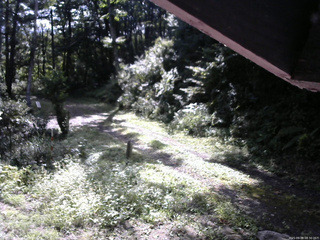 長野県菅平高原 ゆたか山荘 東側(坂下) 2025/09/09 08:30