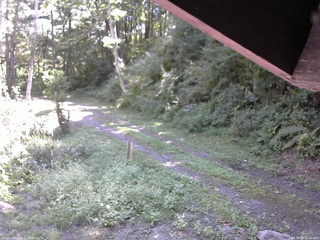 長野県菅平高原 ゆたか山荘 東側(坂下) 2025/09/09 10:45