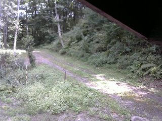 長野県菅平高原 ゆたか山荘 東側(坂下) 2025/09/09 12:15