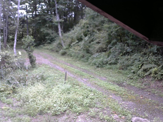 長野県菅平高原 ゆたか山荘 東側(坂下) 2025/09/09 12:45