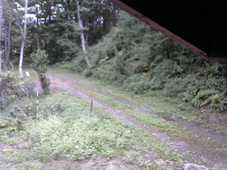 長野県菅平高原 ゆたか山荘 東側(坂下) 2025/09/09 14:15