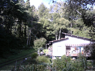 長野県菅平高原 ゆたか山荘 西側(坂上) 2025/09/09 08:00