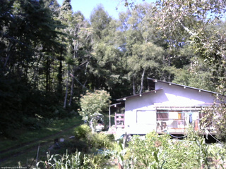 長野県菅平高原 ゆたか山荘 西側(坂上) 2025/09/09 09:45