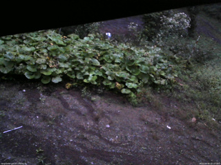 長野県菅平高原 ゆたか山荘 駐車場 2025/09/09 05:15