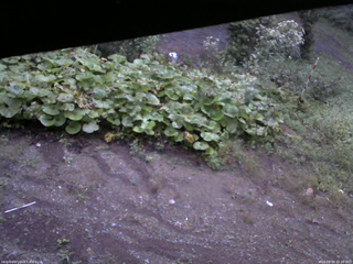 長野県菅平高原 ゆたか山荘 駐車場 2025/09/09 05:30