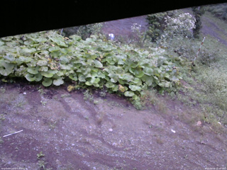 長野県菅平高原 ゆたか山荘 駐車場 2025/09/09 05:45