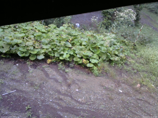 長野県菅平高原 ゆたか山荘 駐車場 2025/09/09 06:00