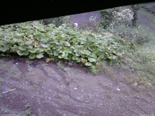 長野県菅平高原 ゆたか山荘 駐車場 2025/09/09 06:15