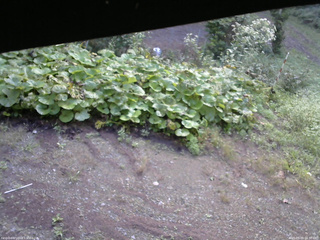 長野県菅平高原 ゆたか山荘 駐車場 2025/09/09 06:30