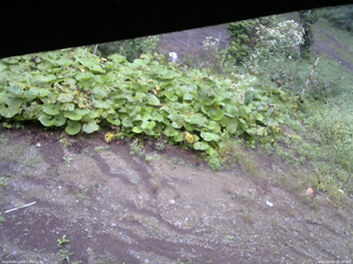 長野県菅平高原 ゆたか山荘 駐車場 2025/09/09 06:45