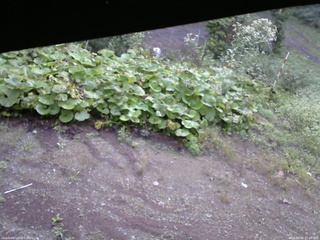 長野県菅平高原 ゆたか山荘 駐車場 2025/09/09 07:00