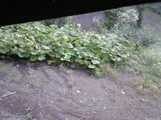 長野県菅平高原 ゆたか山荘 駐車場 2025/09/09 07:15