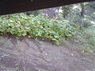 長野県菅平高原 ゆたか山荘 駐車場 2025/09/09 07:30