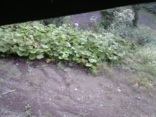 長野県菅平高原 ゆたか山荘 駐車場 2025/09/09 07:45