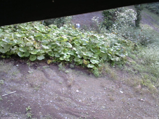 長野県菅平高原 ゆたか山荘 駐車場 2025/09/09 08:00