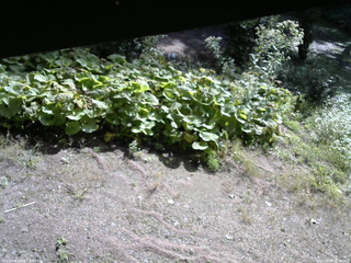 長野県菅平高原 ゆたか山荘 駐車場 2025/09/09 08:30