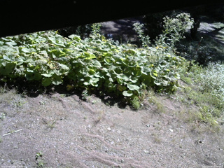 長野県菅平高原 ゆたか山荘 駐車場 2025/09/09 08:45