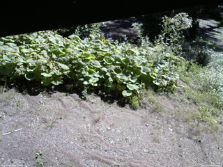 長野県菅平高原 ゆたか山荘 駐車場 2025/09/09 09:00