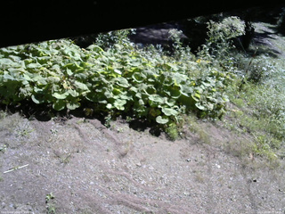 長野県菅平高原 ゆたか山荘 駐車場 2025/09/09 09:15