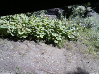 長野県菅平高原 ゆたか山荘 駐車場 2025/09/09 09:30