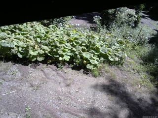 長野県菅平高原 ゆたか山荘 駐車場 2025/09/09 09:45