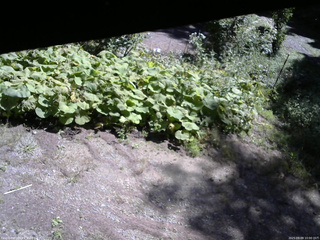 長野県菅平高原 ゆたか山荘 駐車場 2025/09/09 10:00