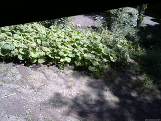 長野県菅平高原 ゆたか山荘 駐車場 2025/09/09 10:15