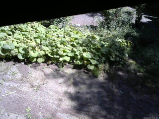 長野県菅平高原 ゆたか山荘 駐車場 2025/09/09 10:30