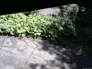 長野県菅平高原 ゆたか山荘 駐車場 2025/09/09 10:45