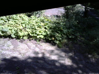 長野県菅平高原 ゆたか山荘 駐車場 2025/09/09 11:00