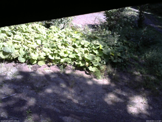 長野県菅平高原 ゆたか山荘 駐車場 2025/09/09 11:15